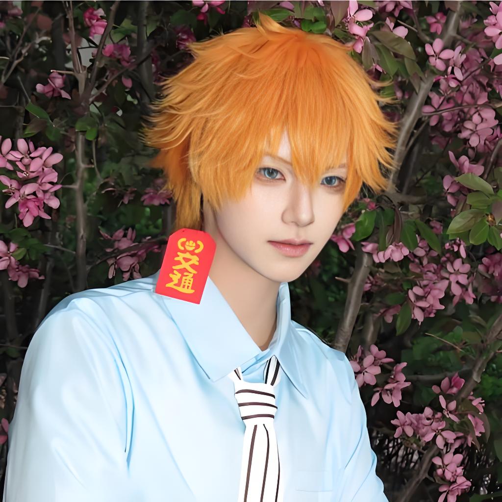 Anime Cosplay Toilet-bound Han - огляд і ціна Anime Merchandise Men
