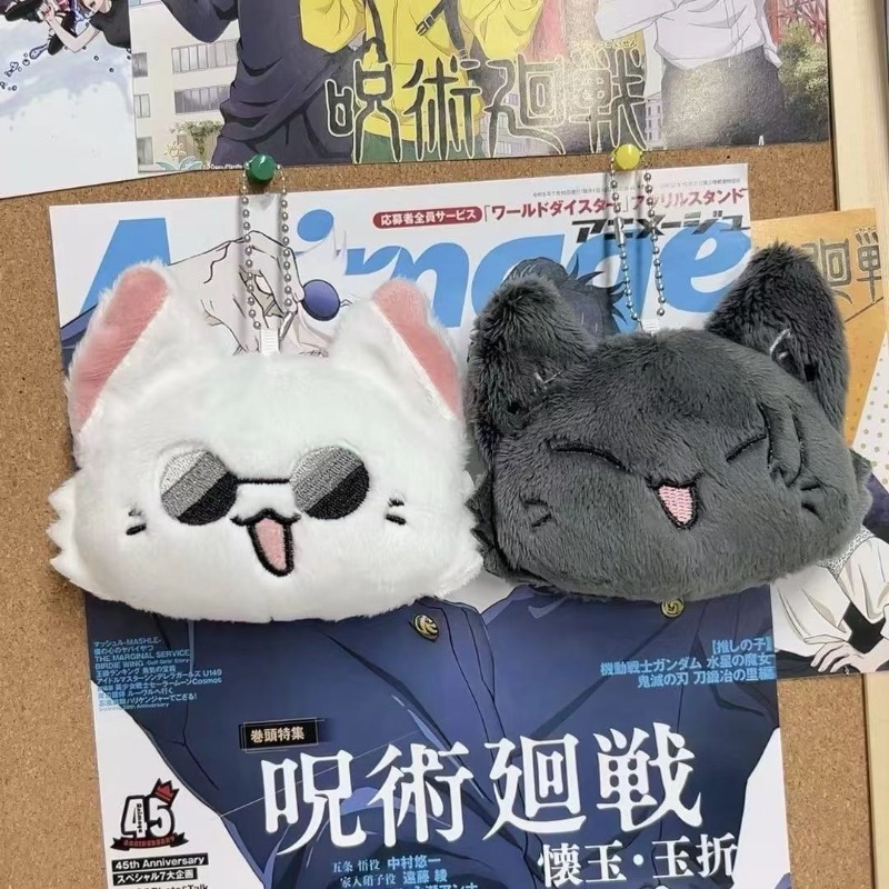 Jujutsu Kaisen Anime Merchandi - огляд і ціна Anime Merchandise In Japan